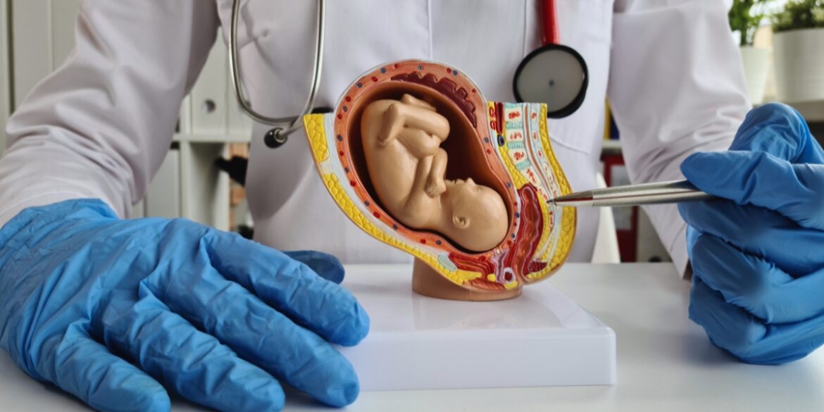 obstetra