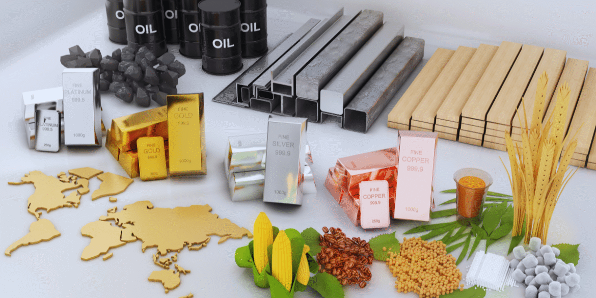 analista de transporte