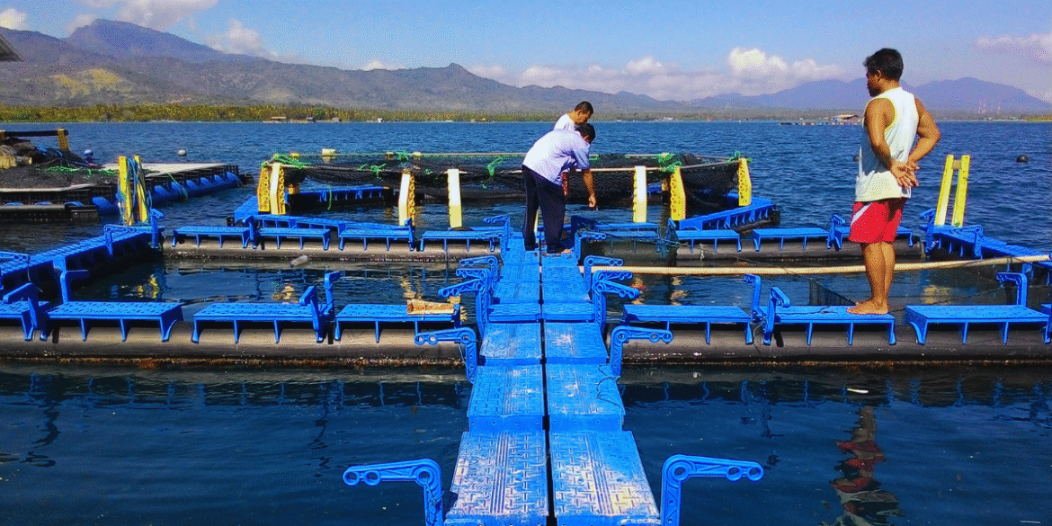 Aquicultor